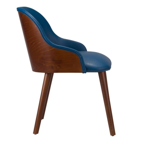 Pisa Armchair With Veneered Back