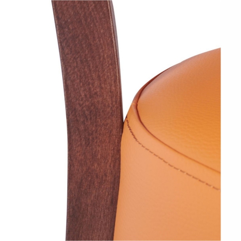 Reubens Chair in Walnut and Ochre